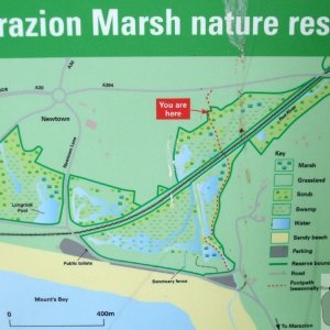 Marazion Marsh - 02Jun10