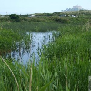 Marazion Marsh - 02Jun10