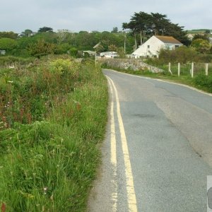 Marazion Marsh - 02Jun10