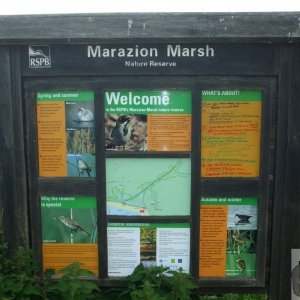 Marazion Marsh - 02Jun10