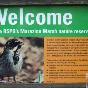 Marazion Marsh - 02Jun10