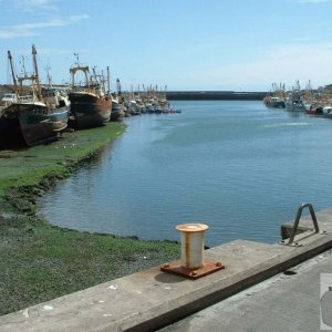 The Harbour at low tide