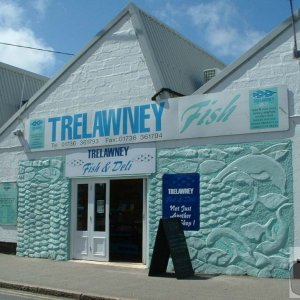 Trelawney Fish and Deli in the Strand
