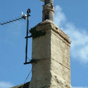 One of many Newlyn residents