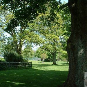 Penlee Park in spring splendour