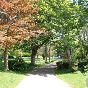 Penlee Park in spring splendour
