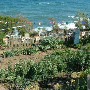 An interesting garden/allotment en route for Newlyn