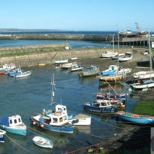 Overlooking the old harbour, Newlyn, 11th May, 2005