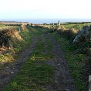 Sunday outing, 17th Jan, 2010: Treen: Path to Treryn Dinas (Logan Rock)
