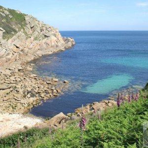 Climbing the cliff to west of Penberth Cove