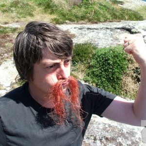 Son sports moustache made from a parasytic plant that lives on top of gorse