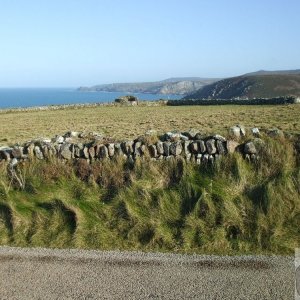 Looking eastwards from the road above Pendeen Watch