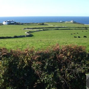 View from lane to Pendeen Manor Farm - 24Oct10