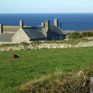 Pendeen Manor Farm - 24Oct10