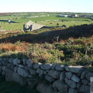 The countryside eastwards from Watch - 2010