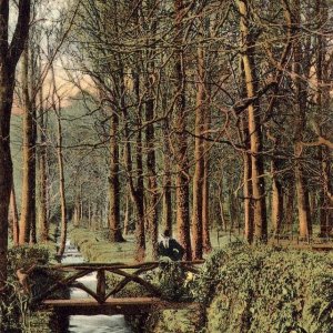 Castle Horneck (Lethby)