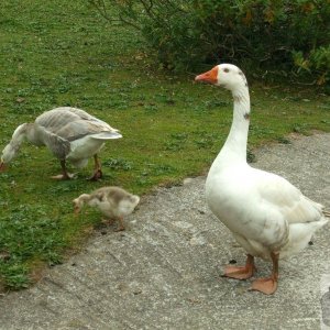 Proud father and protector!
