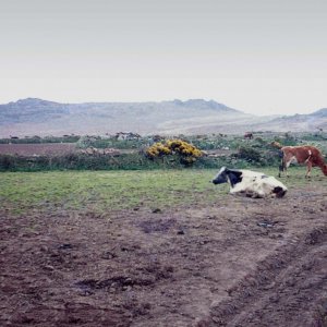 Sunday outing to Gurnard's Head - April, 1977