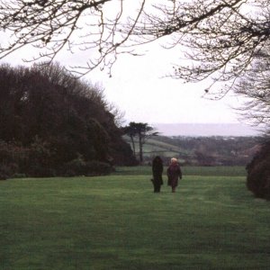 Trengwainton Gardens - April, 1977