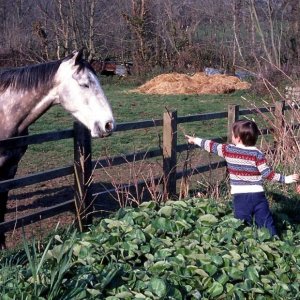 My elder two and Dobbin - May, 1984.