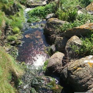 The River at Nanjizel