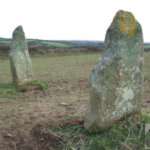 Standing stones in a field at Drift/Catchall