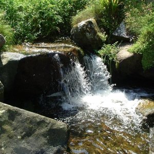 CASCADE FOUR: Where might this waterfall be found? (see below)