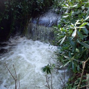 CASCADE FIVE: Where might this waterfall be found? (see below)