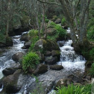 CASCADE TEN: Where might this waterfall be found? (see below)