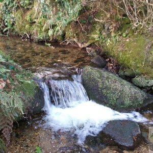 CASCADE EIGHT: Where might this waterfall be found? (see below)