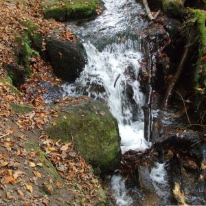 CASCADE NINE: Where might this waterfall be found? (see below)