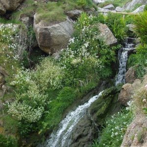 Porth Chapel waterfall - 17May10