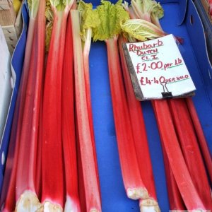 Rhubarb - Tregenza's Greengrocers, the Greenmarket, Feb., 2007