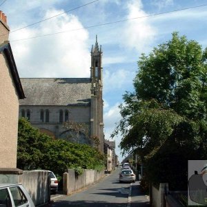 The Church and Presbytery