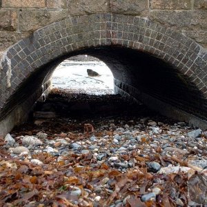 Railway bridge arch at Chyandour