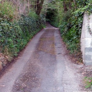 Where does this lane lead?