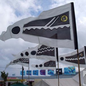Attractive Golowan pennants and flags
