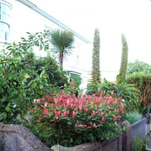 Clarence Terrace, 31st July, 2008