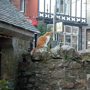 Gulval Churchyard and the Coldstreamer Pub