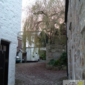 The Complex behind the Abbey Hotel