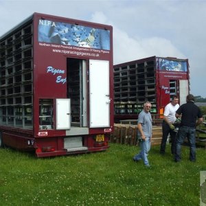 Pigeon Race - Princess May Rec, Ground - 19Jun10