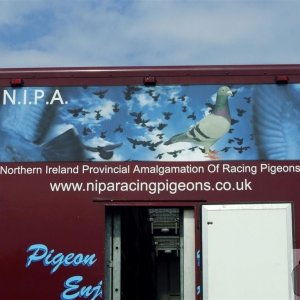 NIPA Pigeon Release on the Rec - 19Jun10