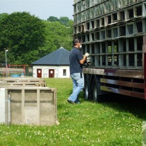 NIPA Pigeon Release on the Rec - 19Jun10