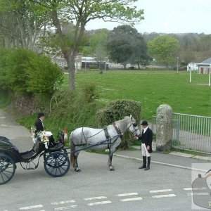 Wedding Carriage