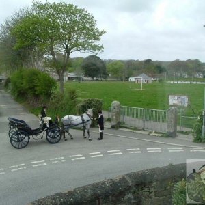 April, a few years ago: Wedding Carriage at the Ready.