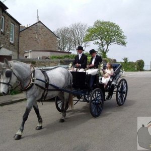 Wedding Carriage