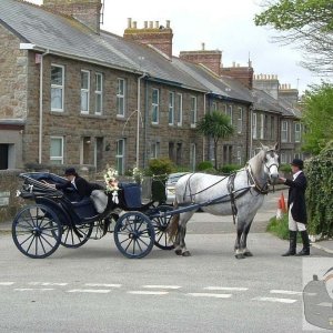 Wedding Carriage by the Rec: April, a few years ago