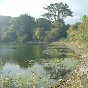 Boscathnoe Reservoir near Trengwainton in 2002