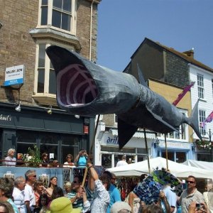 Basking shark - Mazey Day - 26Jun10