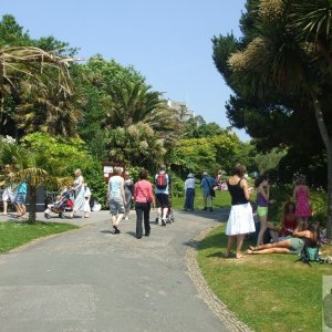 Morrab Gardens